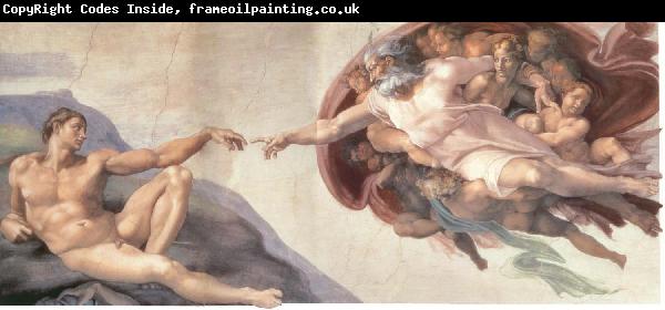 Michelangelo Buonarroti The Creation of Adam